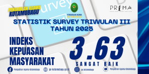 survey25twiii1
